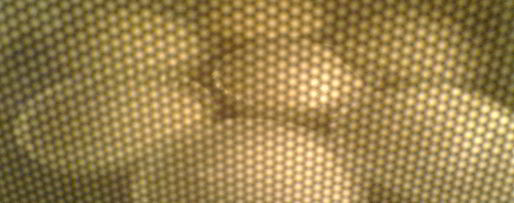 Шаг 3: безе в микроволновке