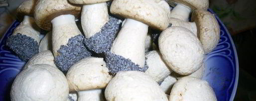 Шаг 4: грибков из безе