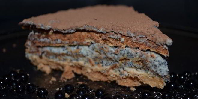 Рецепт торта-безе с маково-сливочным кремом