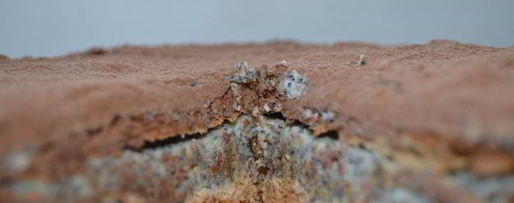 Шаг 6: торта-безе с маково-сливочным кремом