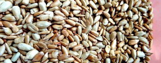 Шаг 10: творожного рулета с безейной прослойкой