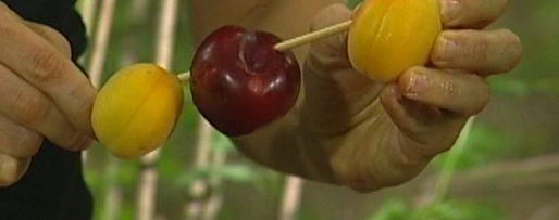 Шаг 4: фруктов на гриле