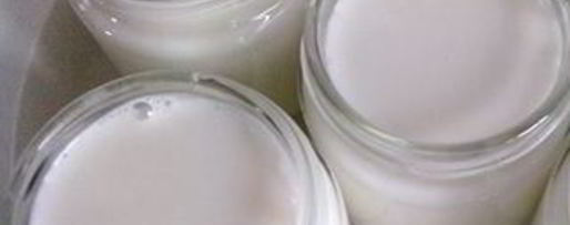 Шаг 5: йогурта из закваски лактина