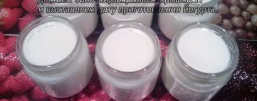 Шаг 7: йогурта из закваски лактина