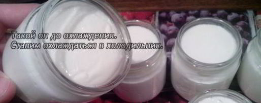 Шаг 8: йогурта из закваски лактина