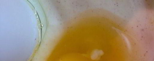 Шаг 7: чизкейка халва-хурма