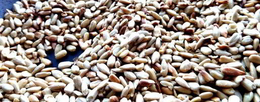 Шаг 6: домашней армянской халвы