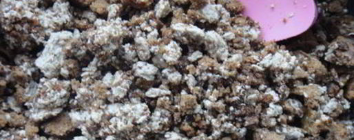 Шаг 8: грушевых лодочек с пряником и халвой