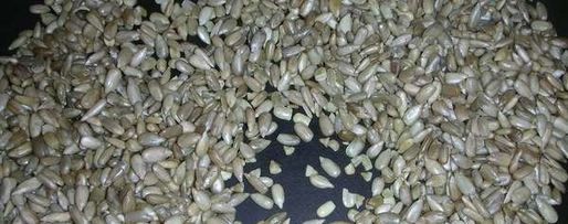 Шаг 1: халвы домашней из семечек