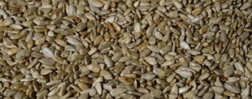 Шаг 1: халвы домашней