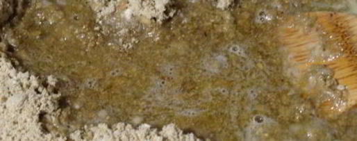 Шаг 8: халвы домашней