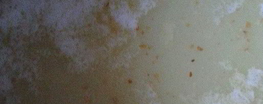 Шаг 3: любимой халвы султаны