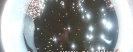 Шаг 7: семеней халвасы — халвы на соке пророщенных зерен пшеницы