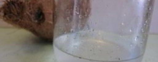 Шаг 1: домашних конфет рафаэлло