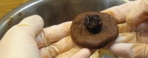 Шаг 1: конфет из сухарей и меда