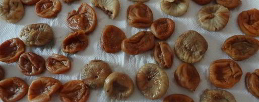 Шаг 2: конфет ручной работы на меду с орехом пекан