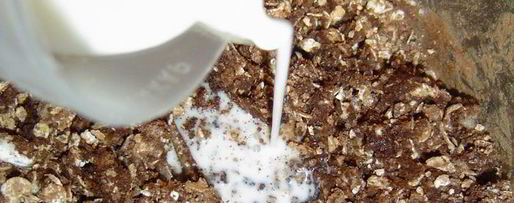 Шаг 3: шоколадных конфет каштаны за 20 минут