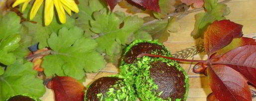 Шаг 6: шоколадных конфет каштаны за 20 минут