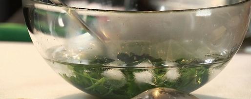 Шаг 2: филе камбалы со сливочным кремом и красным картофельным пюре