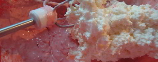 Шаг 2: малинового крема