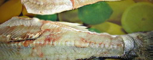 Шаг 1: судака под кремовой шубкой