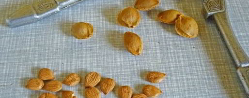 Шаг 2: абрикосового мармелада