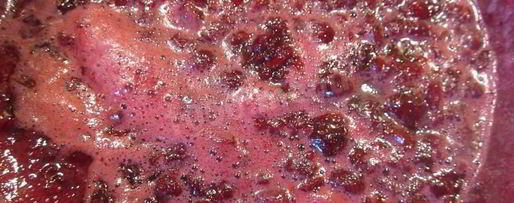 Шаг 5: домашнего мармелада из вишни