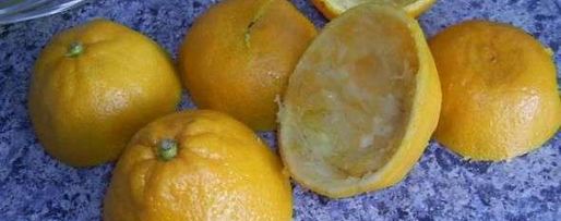 Шаг 28: мандаринового мармелада