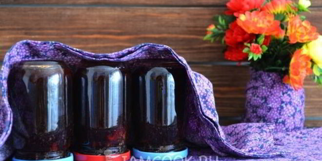 Рецепт мармелада из сливы на зиму