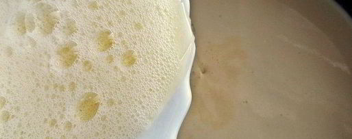 Шаг 7: медовой панны котта