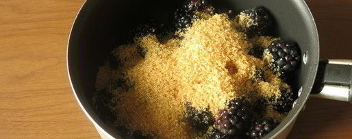 Шаг 1: кокосового мороженого с ежевикой