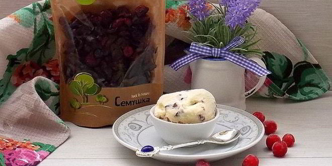 Рецепт кокосового мороженого с клюквой