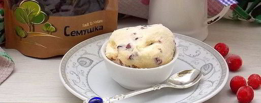 Шаг 6: кокосового мороженого с клюквой