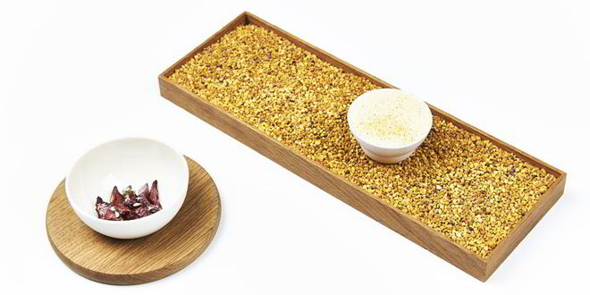 Рецепт мороженого из воска и пыльцы и сушеное яблоко с темным медом и бузиной