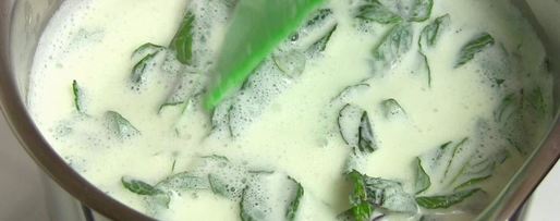 Шаг 1: мороженого с мятой и шоколадом