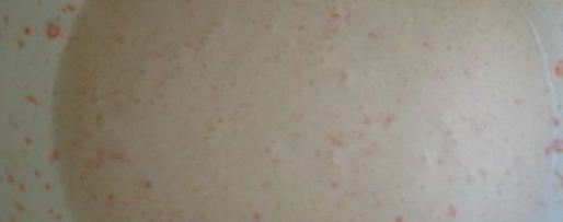 Шаг 2: пряного тыквенного мороженого