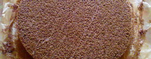 Шаг 9: торта-мороженого чоколата