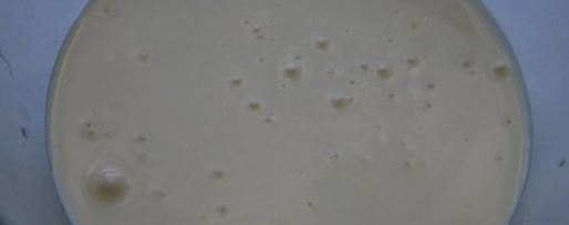 Шаг 6: ягодного торта-мороженого