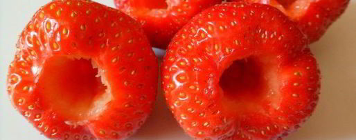 Шаг 5: мусса из авокадо с клубникой и шоколадом