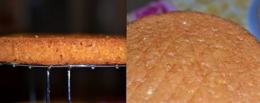 Шаг 6: торта-мусса шоколадно-грушевый