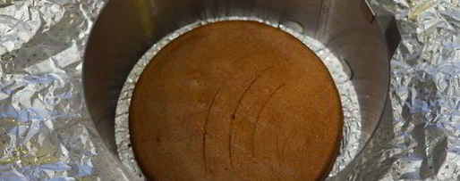 Шаг 11: торта-мусса яблоко евы