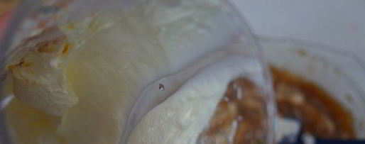 Шаг 14: торта-мусса яблоко евы