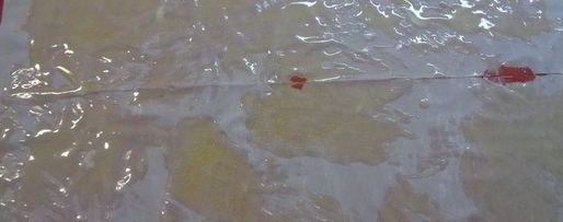 Шаг 6: трески под муссом в тесте фило