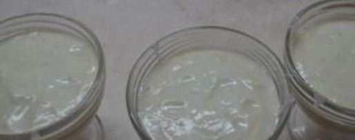 Шаг 3: овощной паннакотты с сыром