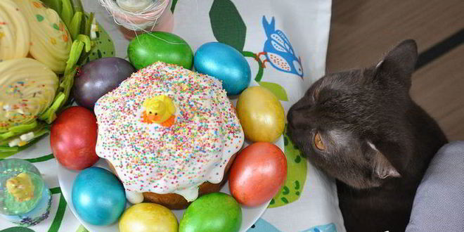 Рецепт коньячного кулича с изюмом, цукатами и орехами