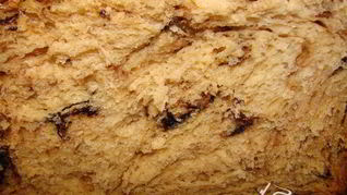 Рецепт Кулича на сухих дрожжах