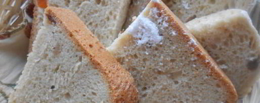 Шаг 4: кулича в хлебопечке