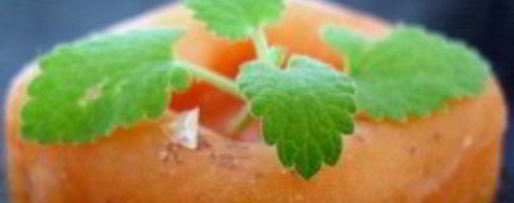 Шаг 3: абрикосового щербета