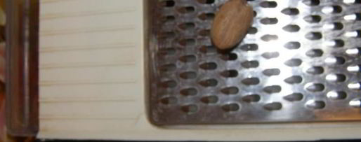 Шаг 7: диетического рыбного суфле с рыбой в духовке