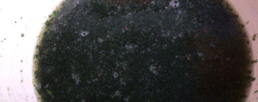 Шаг 1: сливочно-ягодно суфле